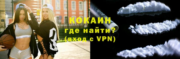 амф Пестово
